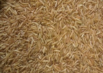 Brown_rice_(whole_grain_rice)_photographed_in_West_Bengal,_India