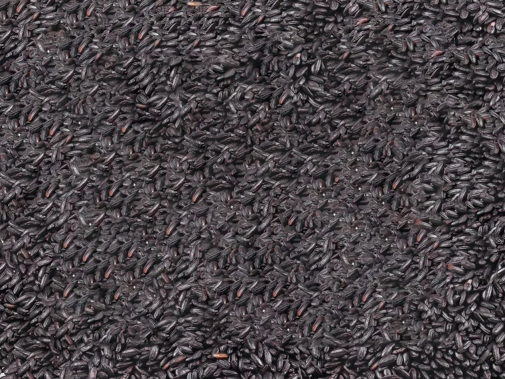 Black Rice – ASRRR Products